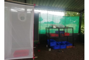 Love Cage Preparation