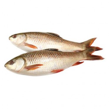 Rohu Fish - Large, C...